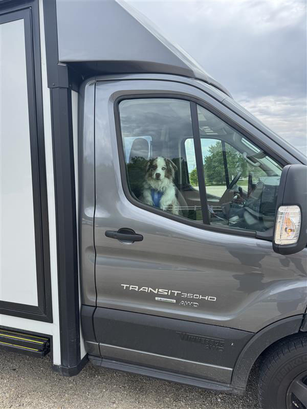 Dog sitting inside WGO RV